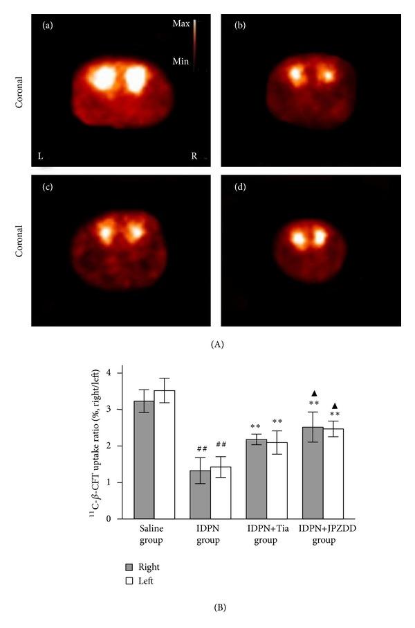 https://cdn.ncbi.nlm.nih.gov/pmc/blobs/e5c3/3574653/4a95a61061d2/ECAM2013-385685.002.jpg