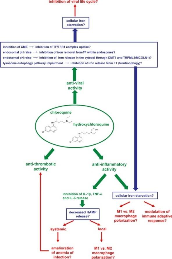 https://cdn.ncbi.nlm.nih.gov/pmc/blobs/e5c3/7217799/36b8cee6f3c2/ga1_lrg.jpg