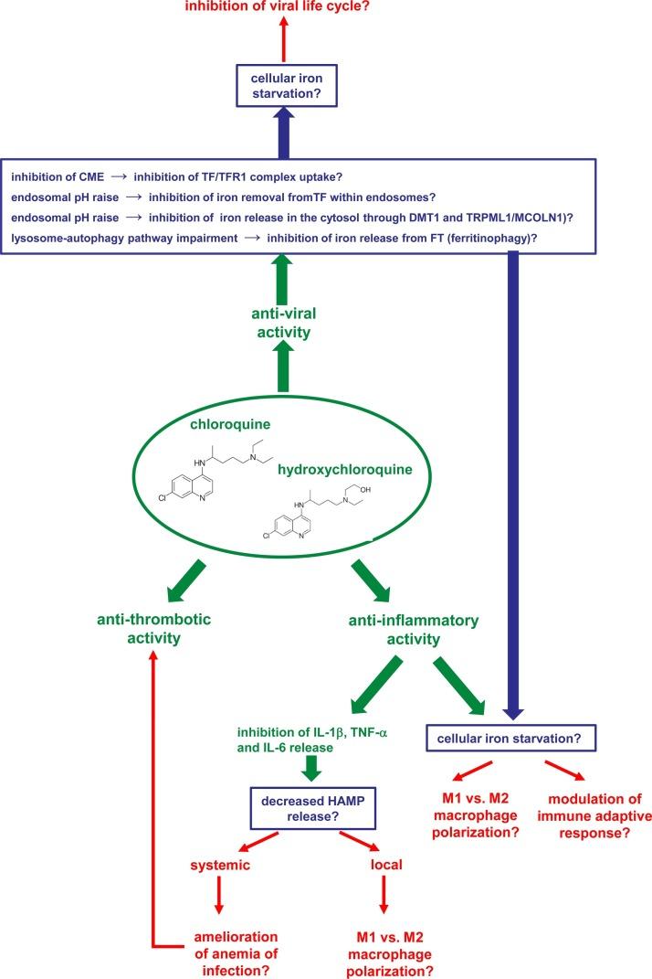 https://cdn.ncbi.nlm.nih.gov/pmc/blobs/e5c3/7217799/bfe6d3b244c2/gr1_lrg.jpg