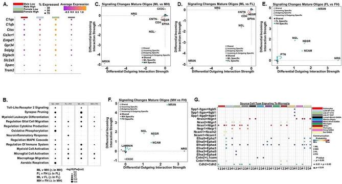https://cdn.ncbi.nlm.nih.gov/pmc/blobs/e5c5/11188533/10c417924fe5/12993_2024_240_Fig6_HTML.jpg
