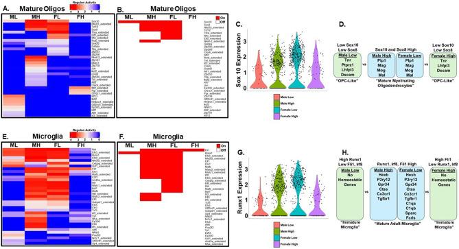 https://cdn.ncbi.nlm.nih.gov/pmc/blobs/e5c5/11188533/5606682ea0de/12993_2024_240_Fig7_HTML.jpg