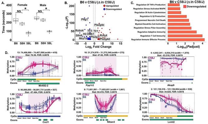 https://cdn.ncbi.nlm.nih.gov/pmc/blobs/e5c5/11188533/deb19771a9c7/12993_2024_240_Fig1_HTML.jpg