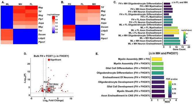 https://cdn.ncbi.nlm.nih.gov/pmc/blobs/e5c5/11188533/fa8eb5b481c0/12993_2024_240_Fig4_HTML.jpg