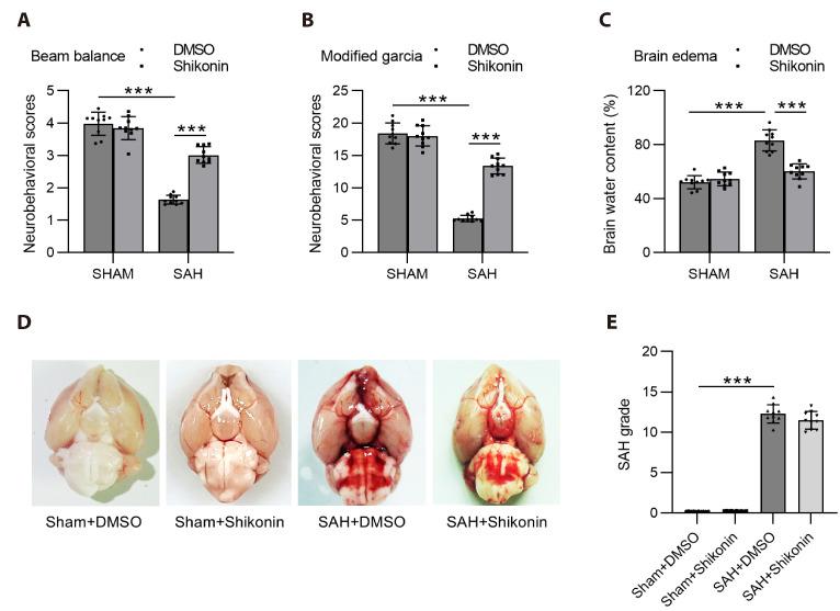 https://cdn.ncbi.nlm.nih.gov/pmc/blobs/e5c5/12012320/d96cbadcee33/kjpp-29-3-283-f2.jpg