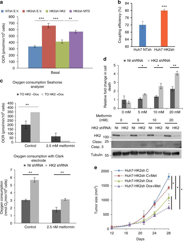 https://cdn.ncbi.nlm.nih.gov/pmc/blobs/e5c5/5792493/8f7e068c2054/41467_2017_2733_Fig6_HTML.jpg