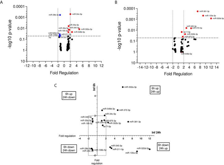 https://cdn.ncbi.nlm.nih.gov/pmc/blobs/e5c5/8224172/45258bfd1674/fcimb-11-687647-g002.jpg