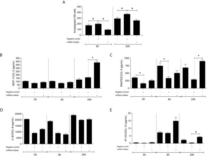https://cdn.ncbi.nlm.nih.gov/pmc/blobs/e5c5/8224172/cb30c4fab6bd/fcimb-11-687647-g006.jpg