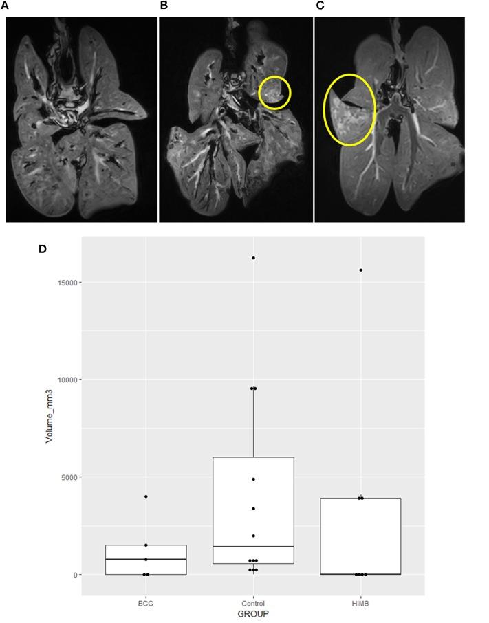 https://cdn.ncbi.nlm.nih.gov/pmc/blobs/e5c6/7011093/87156e0a096d/fvets-07-00041-g0004.jpg