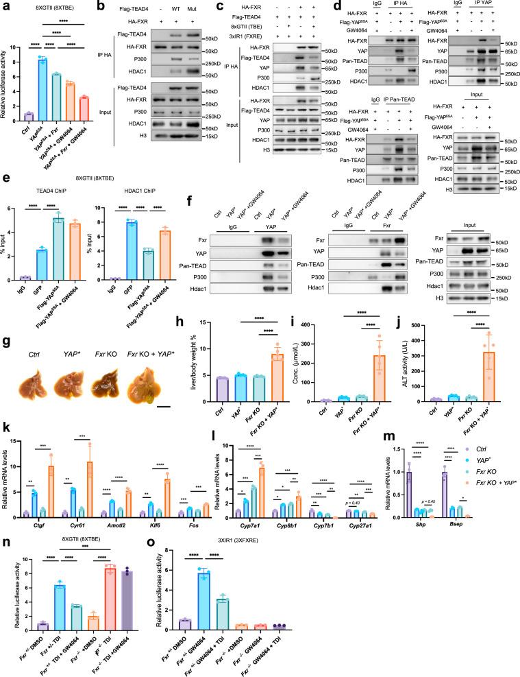 https://cdn.ncbi.nlm.nih.gov/pmc/blobs/e5c7/12000370/11b58aa573cf/41467_2025_58809_Fig8_HTML.jpg