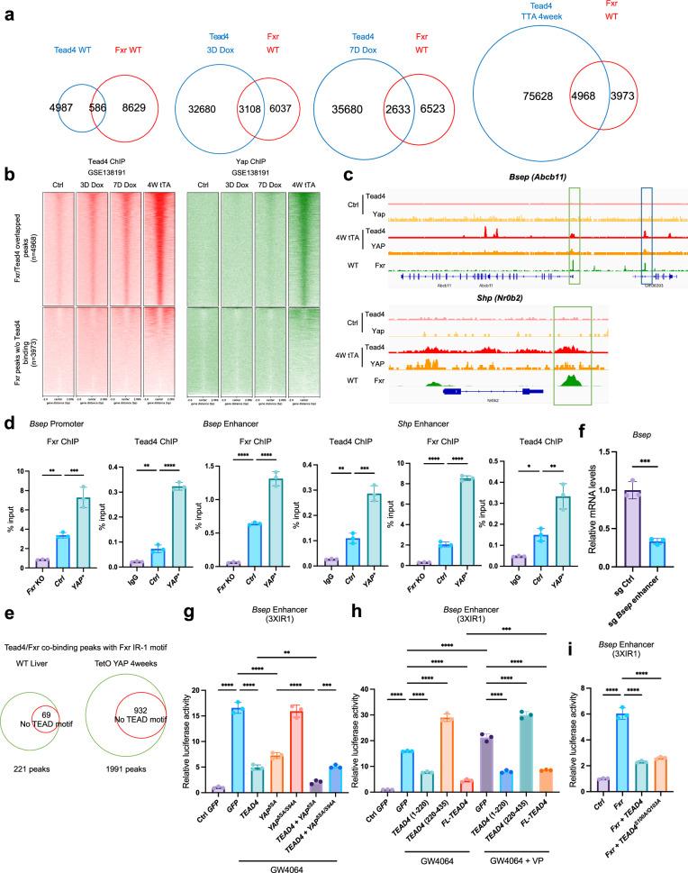https://cdn.ncbi.nlm.nih.gov/pmc/blobs/e5c7/12000370/46f5c26aa1e6/41467_2025_58809_Fig5_HTML.jpg