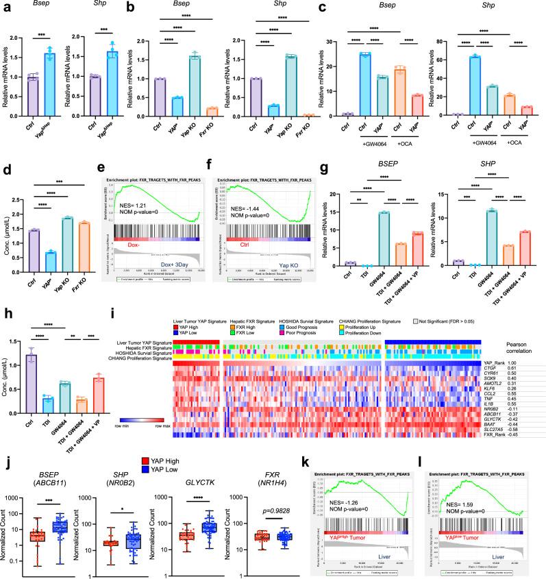 https://cdn.ncbi.nlm.nih.gov/pmc/blobs/e5c7/12000370/d301b25736a3/41467_2025_58809_Fig4_HTML.jpg