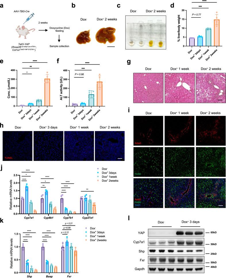 https://cdn.ncbi.nlm.nih.gov/pmc/blobs/e5c7/12000370/e6c6aedc5909/41467_2025_58809_Fig1_HTML.jpg