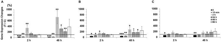 https://cdn.ncbi.nlm.nih.gov/pmc/blobs/e5cb/11469538/4a1347eb3955/pone.0311505.g005.jpg