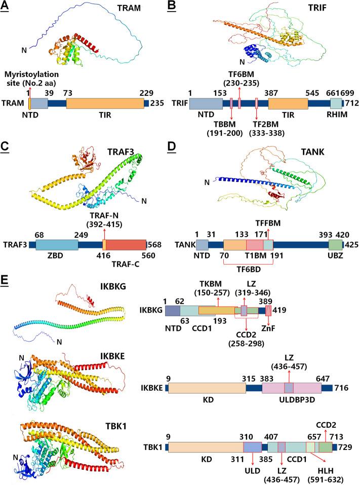 https://cdn.ncbi.nlm.nih.gov/pmc/blobs/e5ce/11921546/01558170e6d9/12964_2025_2149_Fig4_HTML.jpg