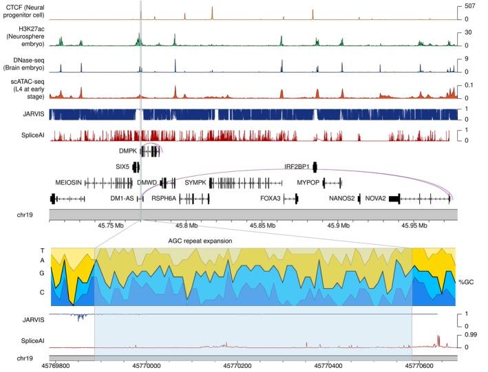 https://cdn.ncbi.nlm.nih.gov/pmc/blobs/e5cf/11488627/f031653ec976/PCN-78-405-g004.jpg