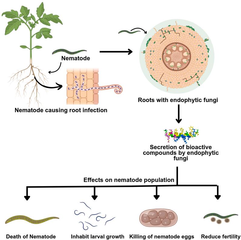 https://cdn.ncbi.nlm.nih.gov/pmc/blobs/e5cf/11947704/d1b395304d9c/gr3.jpg