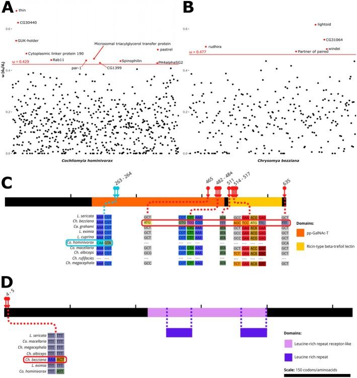 https://cdn.ncbi.nlm.nih.gov/pmc/blobs/e5d4/12100580/6491498359d8/MEC-34-e17785-g002.jpg