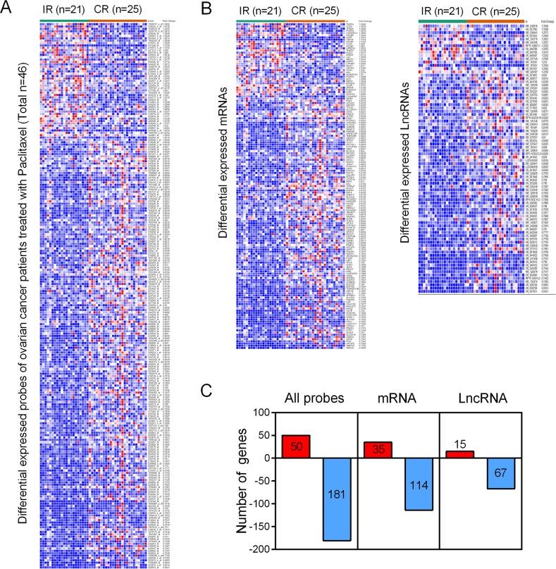 https://cdn.ncbi.nlm.nih.gov/pmc/blobs/e5d4/5609994/00250e961a75/oncotarget-08-64191-g001.jpg