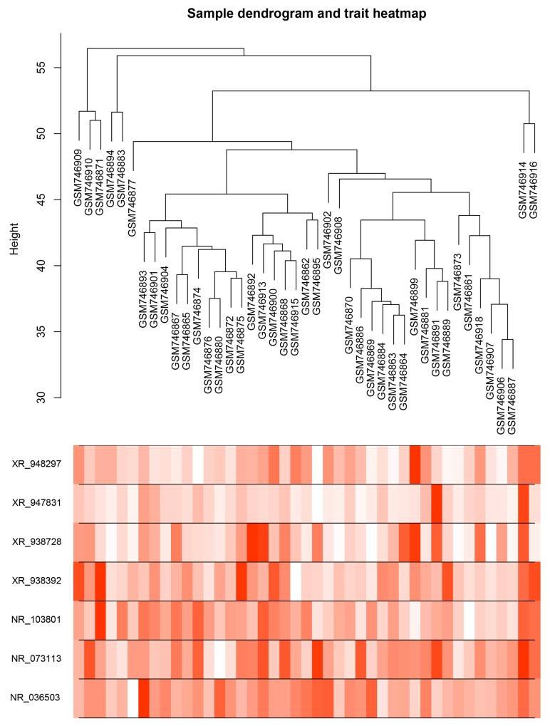 https://cdn.ncbi.nlm.nih.gov/pmc/blobs/e5d4/5609994/29cd17ea96d3/oncotarget-08-64191-g003.jpg