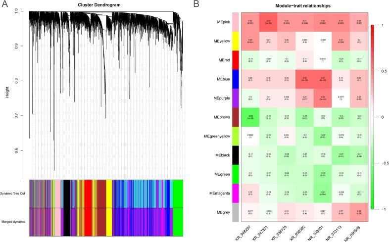 https://cdn.ncbi.nlm.nih.gov/pmc/blobs/e5d4/5609994/482bee64c60c/oncotarget-08-64191-g006.jpg