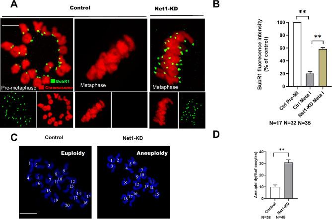 https://cdn.ncbi.nlm.nih.gov/pmc/blobs/e5d5/10759572/b828d79f41e9/12958_2023_1177_Fig4_HTML.jpg