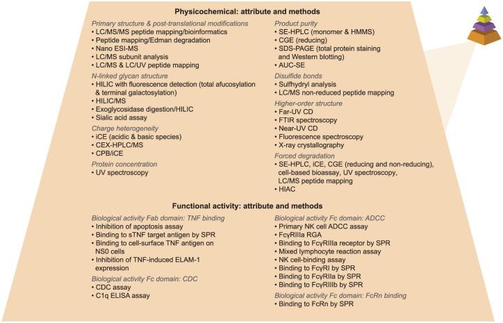 https://cdn.ncbi.nlm.nih.gov/pmc/blobs/e5d7/6566480/1625feba9280/10.1177_1756284819852535-fig2.jpg