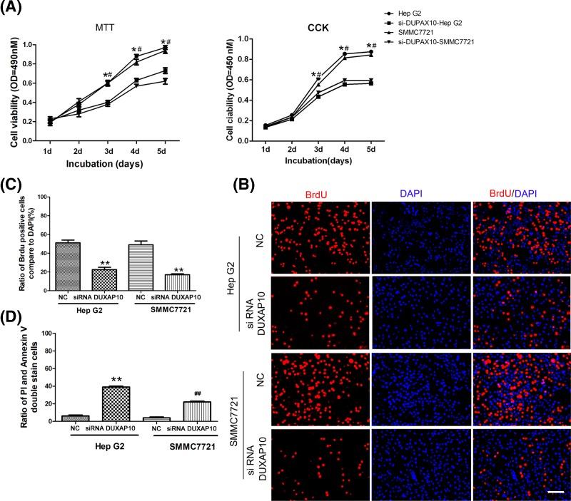 https://cdn.ncbi.nlm.nih.gov/pmc/blobs/e5d8/6542759/eb22ba645a98/bsr-39-bsr20181457-g2.jpg