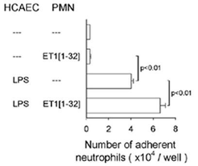 https://cdn.ncbi.nlm.nih.gov/pmc/blobs/e5da/145555/b08211bb46fe/m32f5lg.jpg