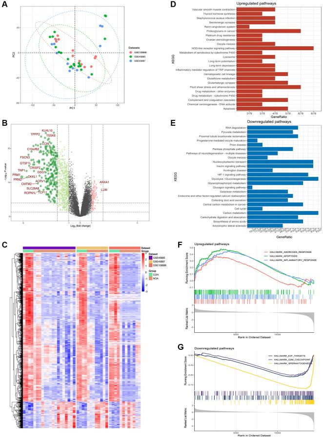 https://cdn.ncbi.nlm.nih.gov/pmc/blobs/e5db/10257997/65a7f42474ef/aging-15-204749-g002.jpg