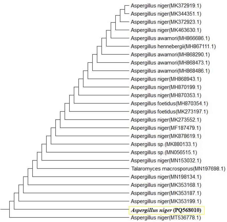 https://cdn.ncbi.nlm.nih.gov/pmc/blobs/e5dc/12060415/b631b2730a98/12934_2025_2710_Fig2_HTML.jpg