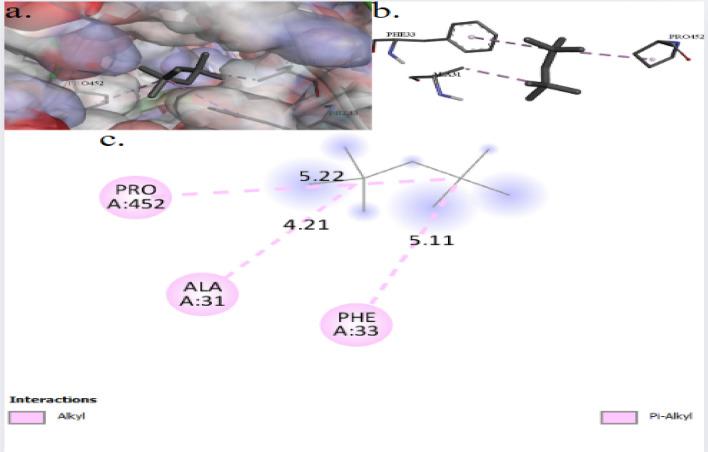 https://cdn.ncbi.nlm.nih.gov/pmc/blobs/e5dc/12060415/bc19f0a59f6c/12934_2025_2710_Fig7_HTML.jpg