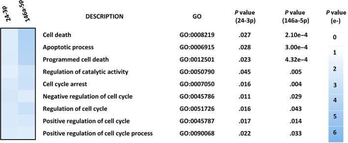https://cdn.ncbi.nlm.nih.gov/pmc/blobs/e5dc/8235131/303a7146e7bb/SCT3-10-1044-g001.jpg