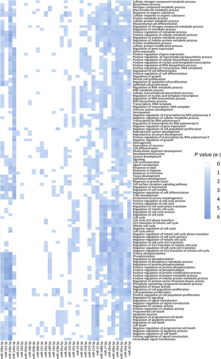 https://cdn.ncbi.nlm.nih.gov/pmc/blobs/e5dc/8235131/574d4170f430/SCT3-10-1044-g006.jpg