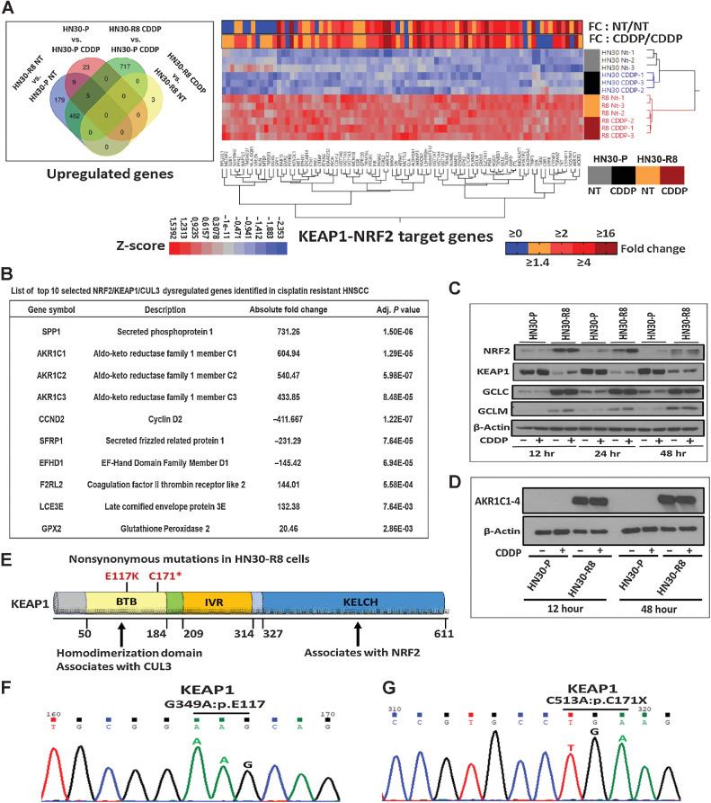 https://cdn.ncbi.nlm.nih.gov/pmc/blobs/e5dd/10068451/0ba64e58c819/1344fig2.jpg