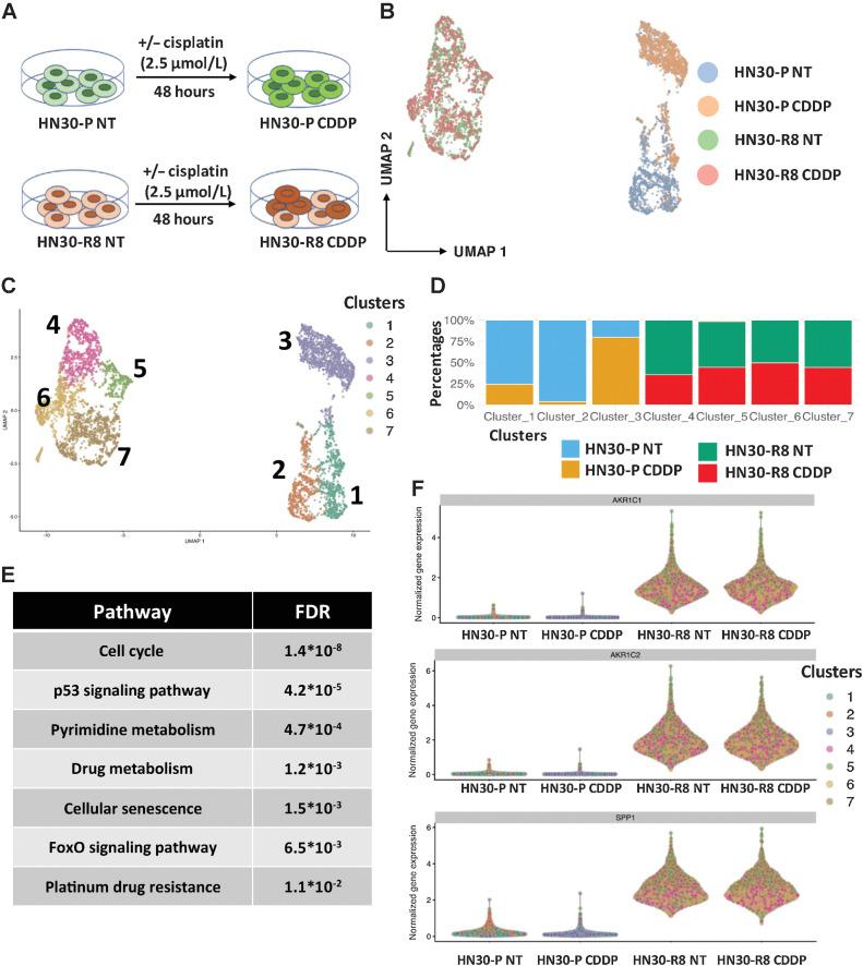 https://cdn.ncbi.nlm.nih.gov/pmc/blobs/e5dd/10068451/2c89832c8fe9/1344fig4.jpg