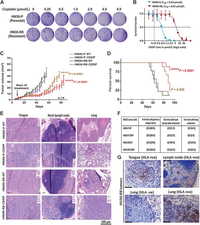 https://cdn.ncbi.nlm.nih.gov/pmc/blobs/e5dd/10068451/6532a2cfb1b3/1344fig1.jpg