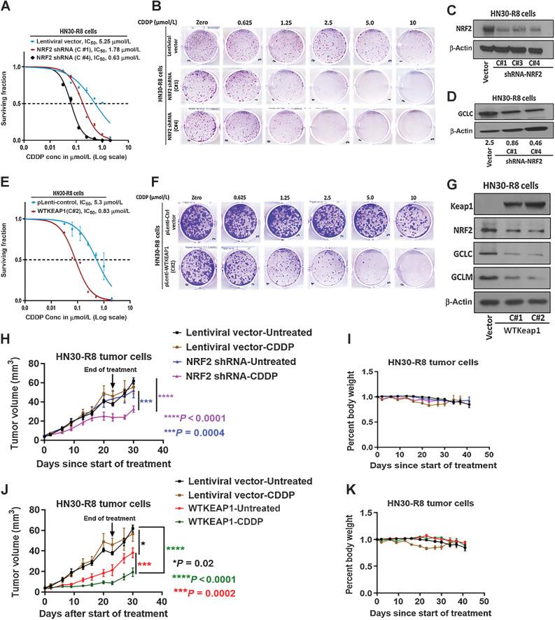 https://cdn.ncbi.nlm.nih.gov/pmc/blobs/e5dd/10068451/ccdf6439aafb/1344fig3.jpg