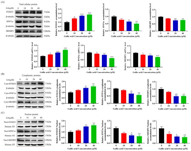 https://cdn.ncbi.nlm.nih.gov/pmc/blobs/e5dd/11085419/5c10bc48efed/molecules-29-01999-g004.jpg