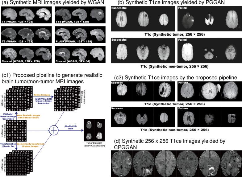 https://cdn.ncbi.nlm.nih.gov/pmc/blobs/e5df/9742072/84ac42313ff6/13244_2022_1315_Fig8_HTML.jpg