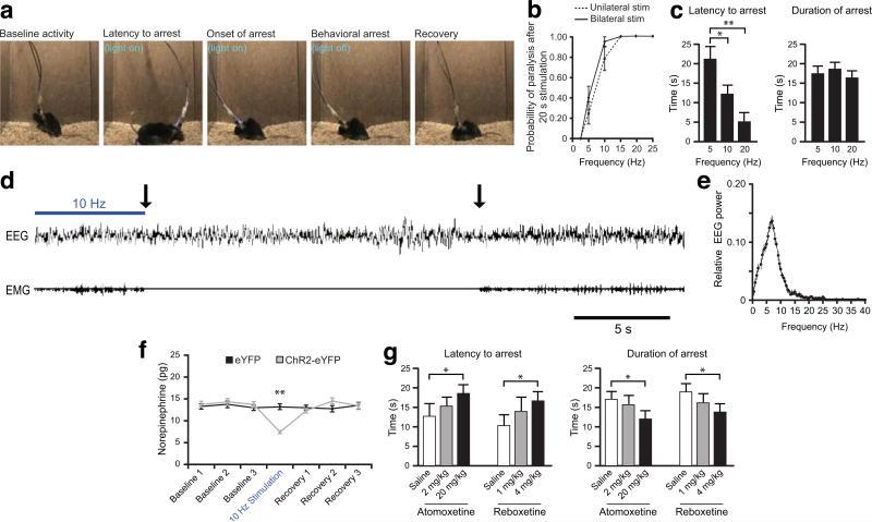 https://cdn.ncbi.nlm.nih.gov/pmc/blobs/e5e1/3174240/0377fe9be570/nihms-242693-f0005.jpg