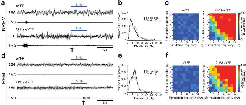 https://cdn.ncbi.nlm.nih.gov/pmc/blobs/e5e1/3174240/184c98a3e770/nihms-242693-f0003.jpg