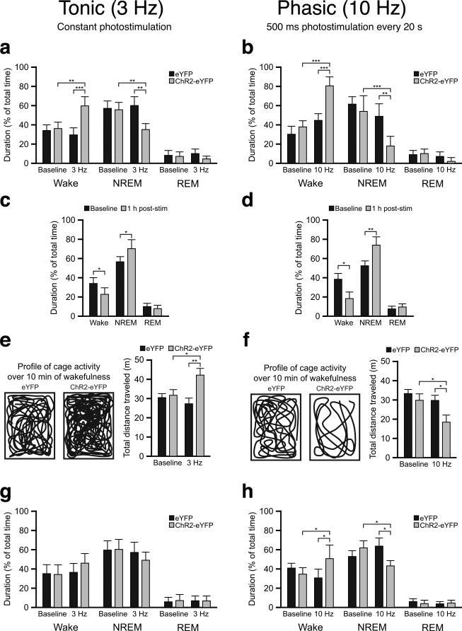 https://cdn.ncbi.nlm.nih.gov/pmc/blobs/e5e1/3174240/f84e7441bebc/nihms-242693-f0004.jpg