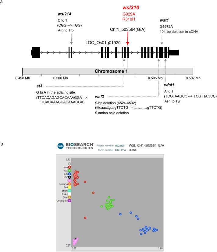 https://cdn.ncbi.nlm.nih.gov/pmc/blobs/e5e5/12405276/325df7c58b1c/fpls-16-1622640-g006.jpg