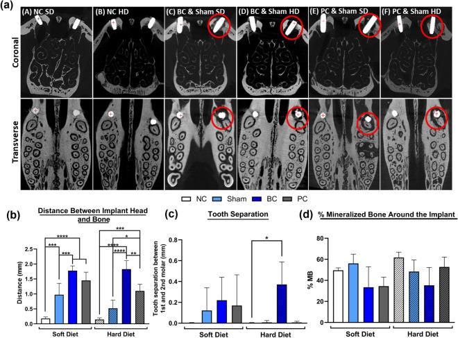 https://cdn.ncbi.nlm.nih.gov/pmc/blobs/e5e6/11252325/4e39155729d4/41598_2024_66353_Fig4_HTML.jpg