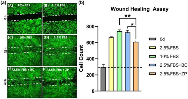 https://cdn.ncbi.nlm.nih.gov/pmc/blobs/e5e6/11252325/a8f7c7708378/41598_2024_66353_Fig1_HTML.jpg