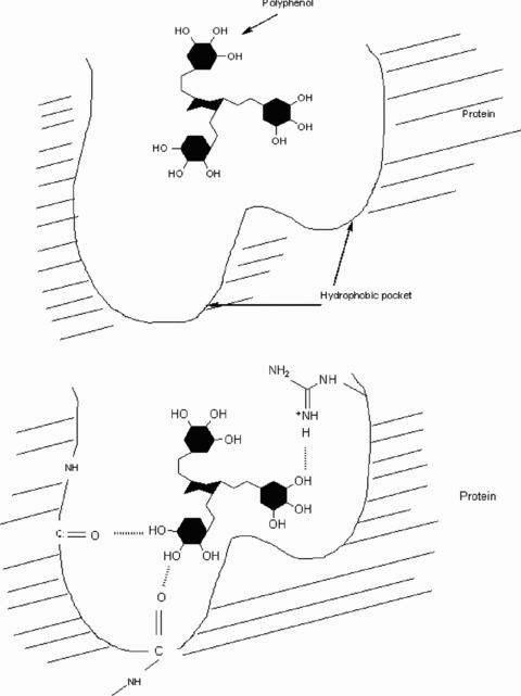 https://cdn.ncbi.nlm.nih.gov/pmc/blobs/e5e9/3032915/0374356eee71/jfds0075-R163-f7.jpg