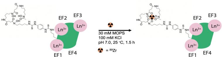 https://cdn.ncbi.nlm.nih.gov/pmc/blobs/e5ea/10246553/50ecd31de02b/d3cb00020f-f3.jpg