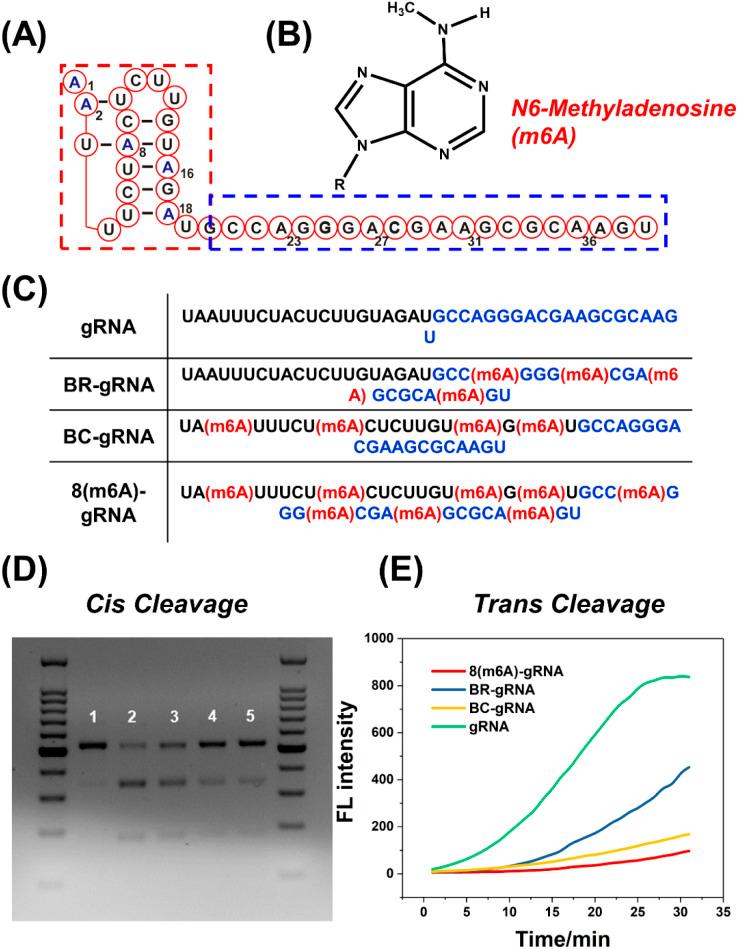 https://cdn.ncbi.nlm.nih.gov/pmc/blobs/e5eb/10246701/fec77b7631a4/d3sc00629h-f1.jpg