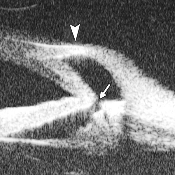 https://cdn.ncbi.nlm.nih.gov/pmc/blobs/e5ec/5159457/f3fed53d1533/jocgp-06-025-g017.jpg