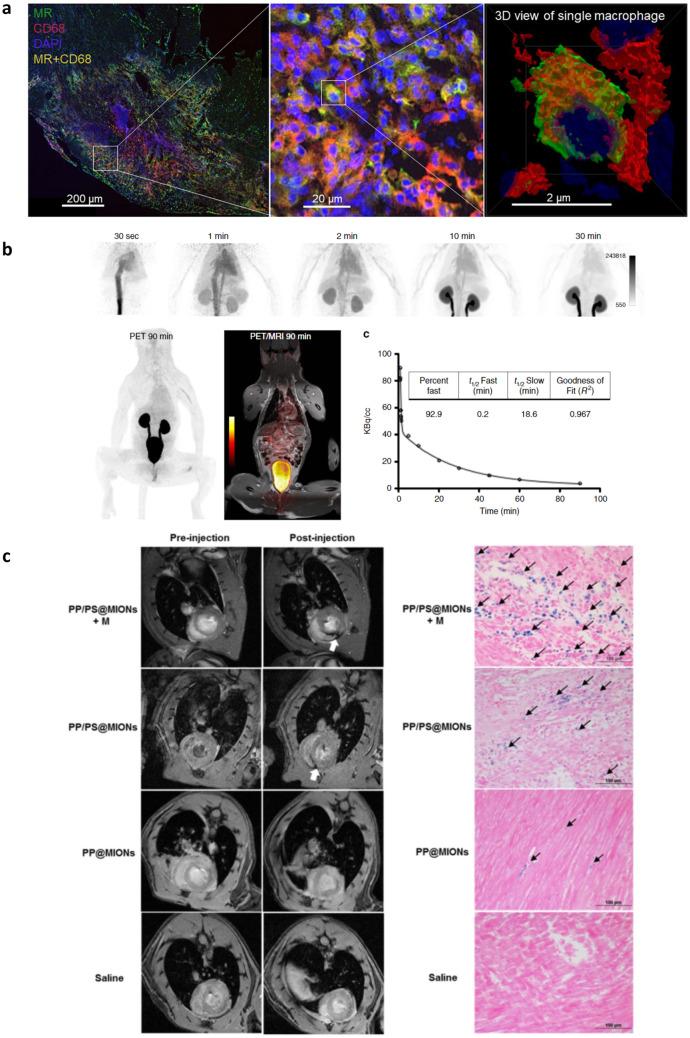 https://cdn.ncbi.nlm.nih.gov/pmc/blobs/e5ed/10238358/0eec21044b93/13346_2023_1290_Fig3_HTML.jpg